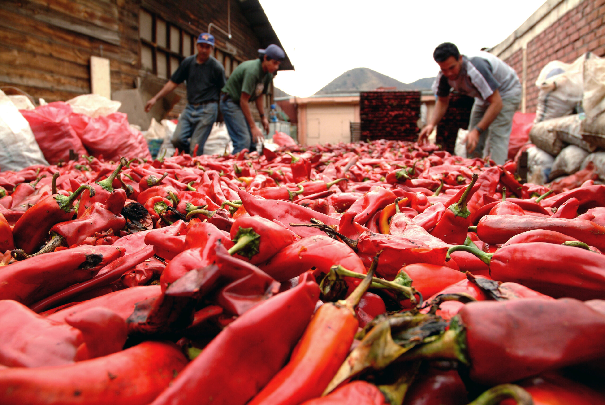 Día Mundial de la Inocuidad de los Alimentos: "Las normas alimentarias salvan vidas"