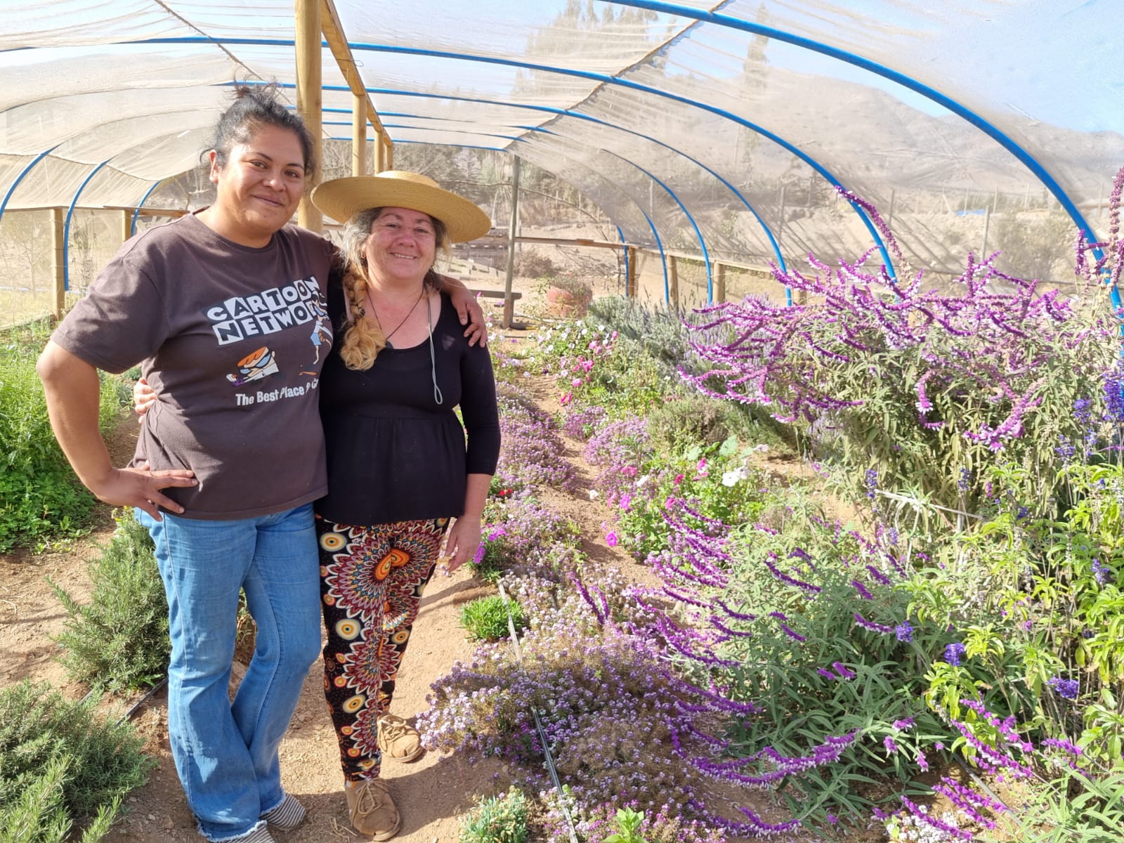 Infusiones, aromaterapia y hasta sahumerios: Mujeres destacan en el rubro de las hierbas medicinales