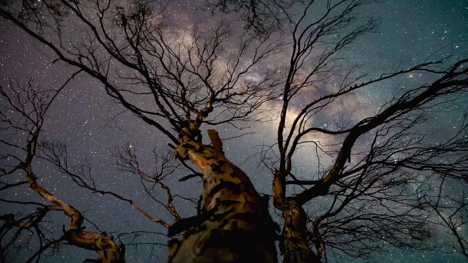 El 2 de julio: Paihuano celebrará con todo el Día Nacional del Astroturismo