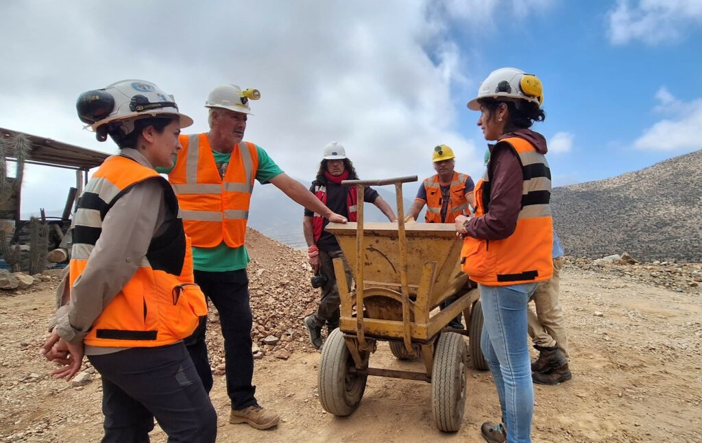 Pequeños mineros podrán postular a la rebaja de sus patentes