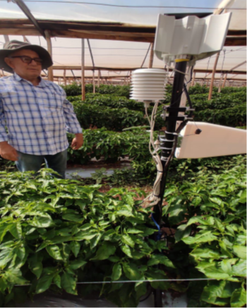 Empresarios agrícolas de la Región de Coquimbo suman tecnología para optimizar el uso de agua