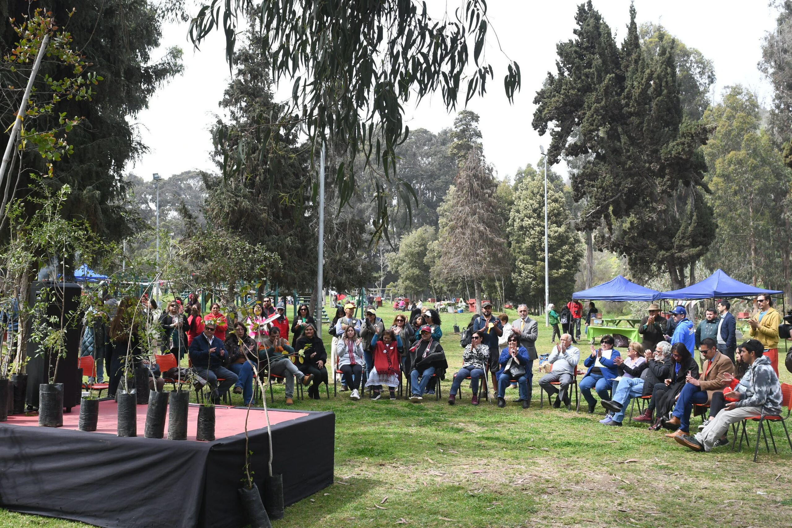 La Serena: Parque Coll se reforesta con 100 nuevos árboles nativos