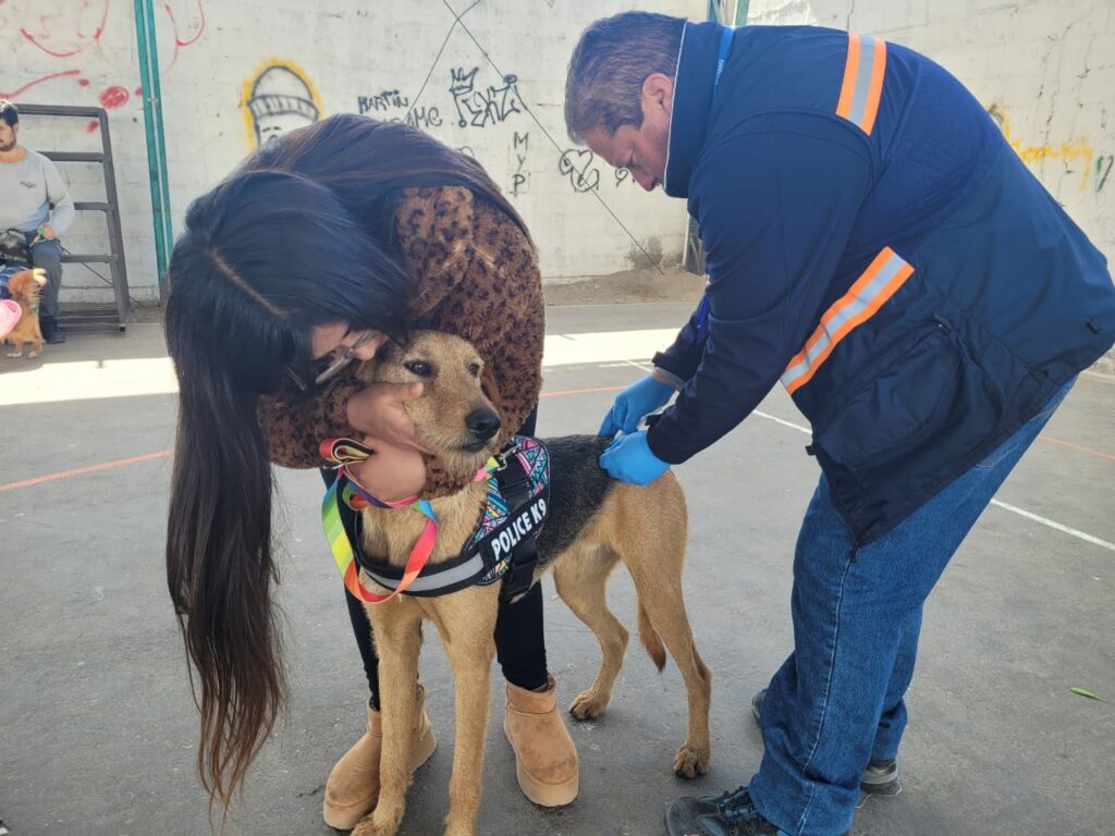 Con operativos de vacunación se conmemora Día Mundial de Prevención de la Rabia