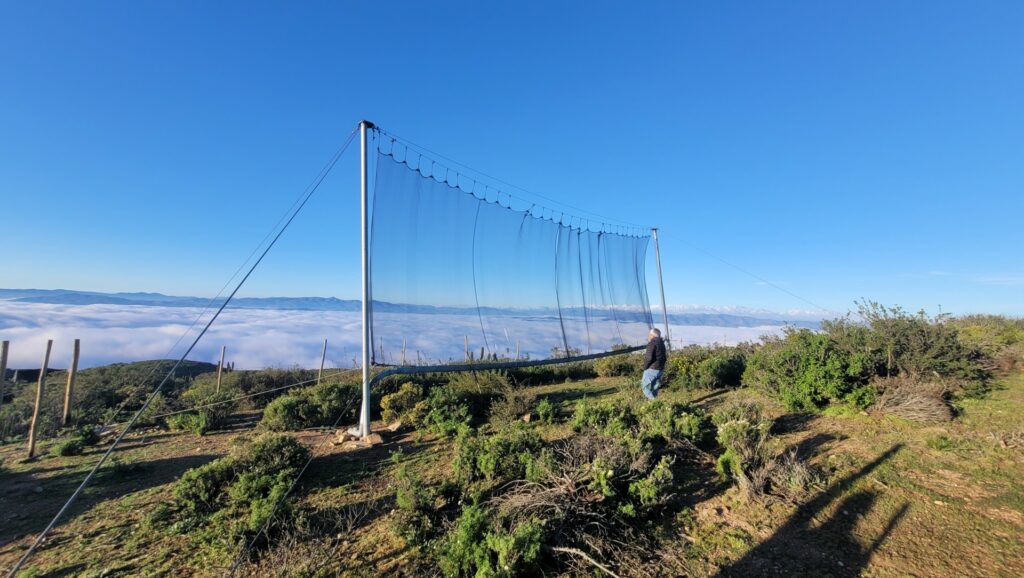 Buscan que el Mundo Rural mejore su seguridad hídrica mediante el uso de atrapanieblas