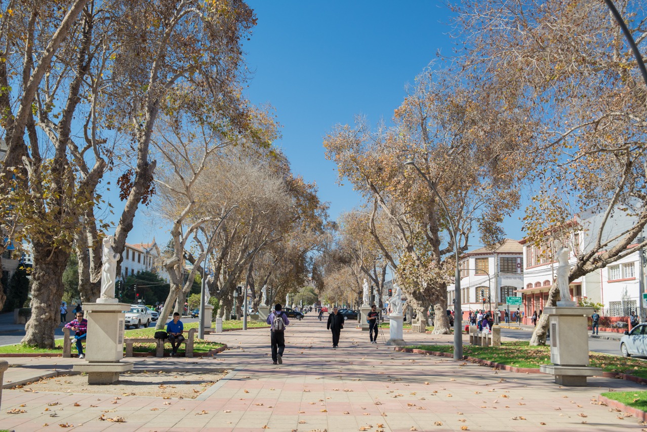 Investigación revela alarmante percepción de inseguridad en mujeres que transitan por Avenida Francisco de Aguirre