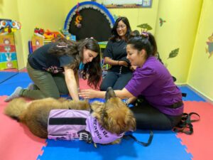 “Dogtores”: Hospital de Coquimbo incorpora terapias con perros adiestrados para acompañar a pacientes pediátricos