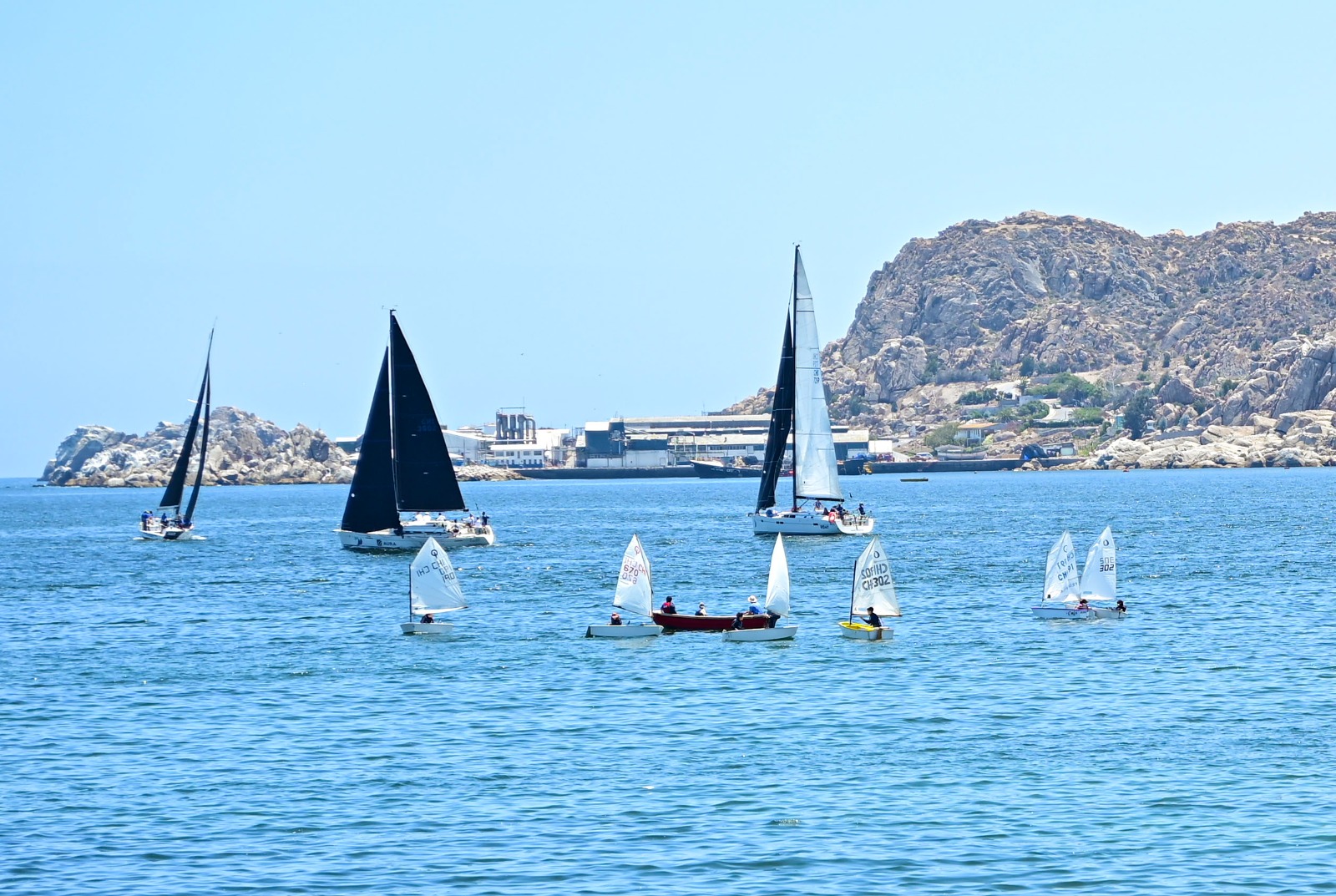 Regata de Vela Mayor regresa a Coquimbo con cientos de competidores de la zona central