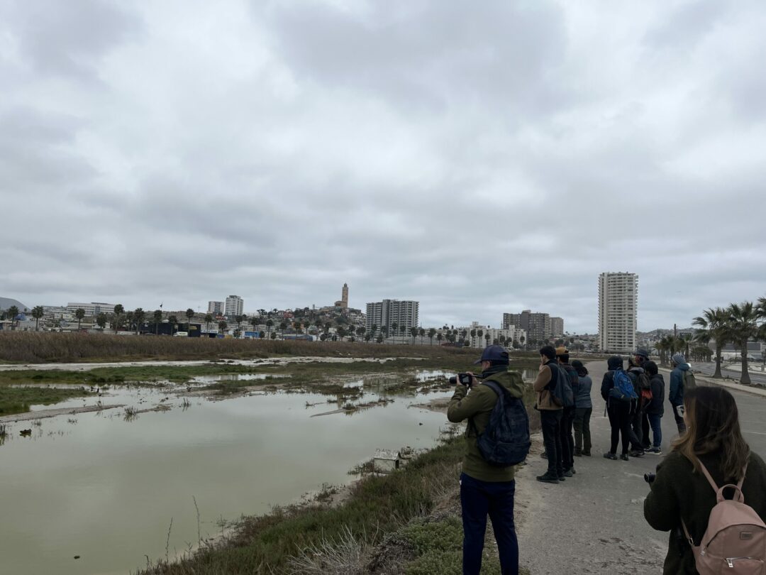 Día de los Humedales 2025: Una mirada desde la acción colaborativa en la región de Coquimbo